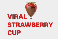 Viral Chocolate Strawberry Cup